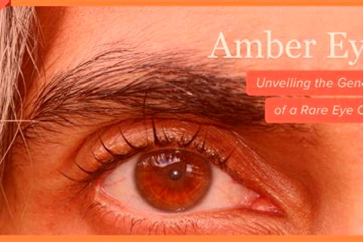 Lucy, 37, a red amber-eyed caribbean companion based in Colon. Offering Duos, OWO, Striptease, Overnight. Available for incall and outcall, overnight booking...