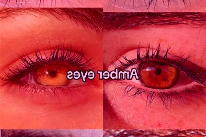 Lucy, 38, a chestnut amber-eyed mixed companion based in Mount Horeb. Offering Massage, Dinner Date, Prostate Massage. Available for incall and outcall, over...