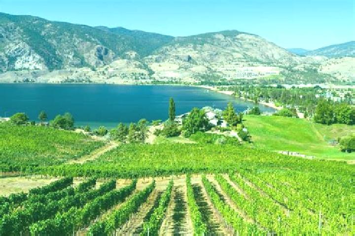 Lucy, 38 — Escort in Okanagan Mission, Canada