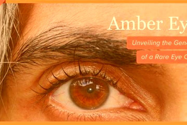Lucy, 39, a black amber-eyed middle eastern companion based in Castera-Verduzan. Offering 69, Massage, Overnight. Available for incall and outcall, overnight...