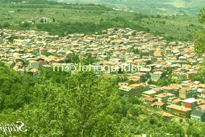 Luna, 20 — Escort in San Pietro a Maida, Italy