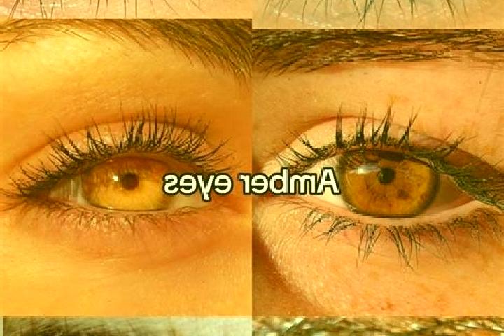 Luna, 21, a chestnut amber-eyed mixed companion based in Vasles. Offering Deep French Kissing, Tantra, Couples. Available for incall and outcall, day and eve...