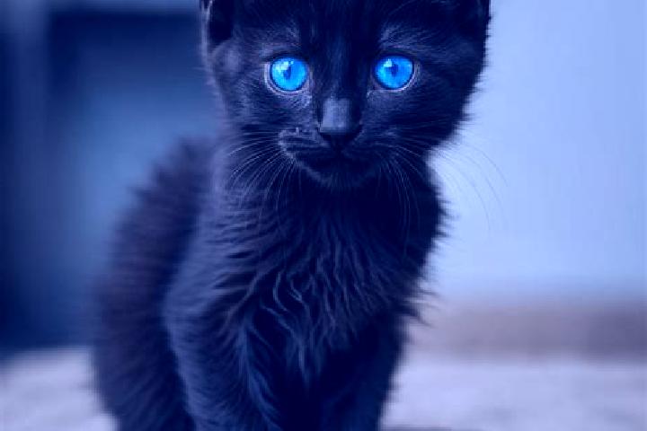 Luna, 22, a black blue-eyed mediterranean companion based in Huehuetepec. Offering OWO, Prostate Massage, 69, GFE. Available for incall and outcall, overnigh...