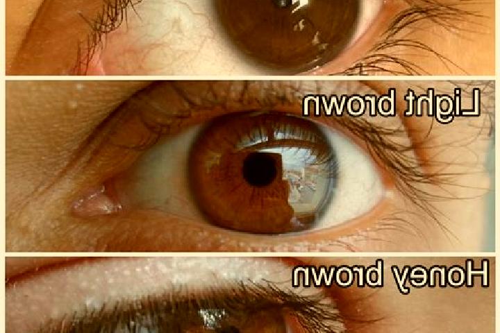 Luna, 25, a auburn amber-eyed slavic companion based in Bytnica. Offering Overnight, Party Girl, OWO. Available for incall and outcall, overnight bookings av...