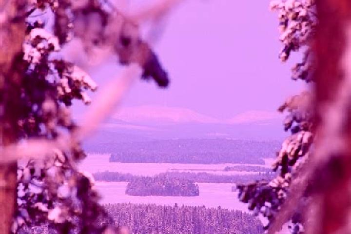 Luna, 25 — Escort in Kemijaervi, Finland