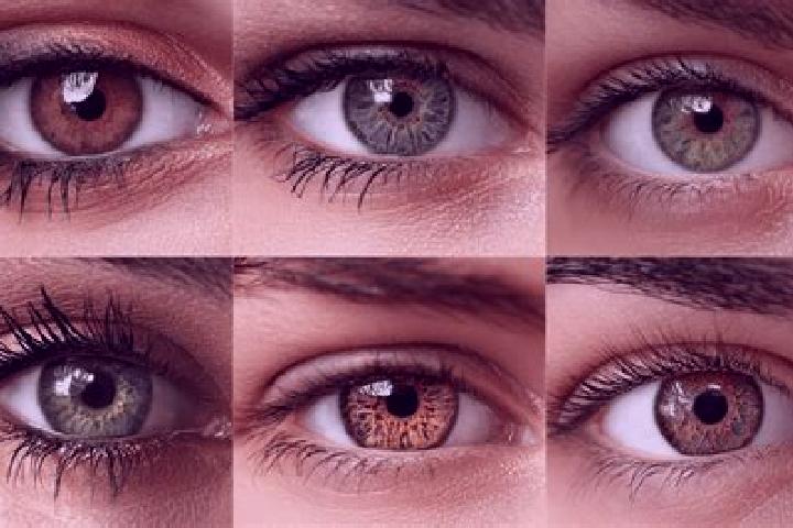 Luna, 26, a chestnut hazel-eyed middle eastern companion based in Ysbrechtum. Offering Overnight, Dinner Date, Tantra. Available for incall and outcall, over...