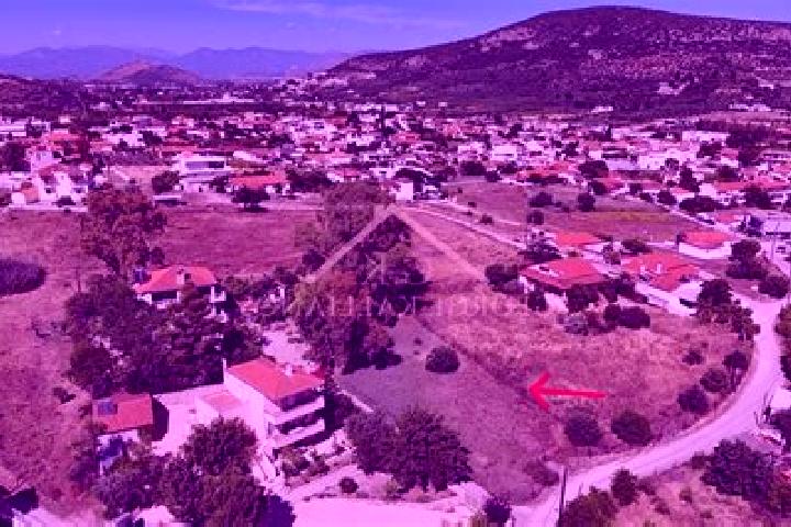 Luna, 26 — Escort in Lefkakia, Greece
