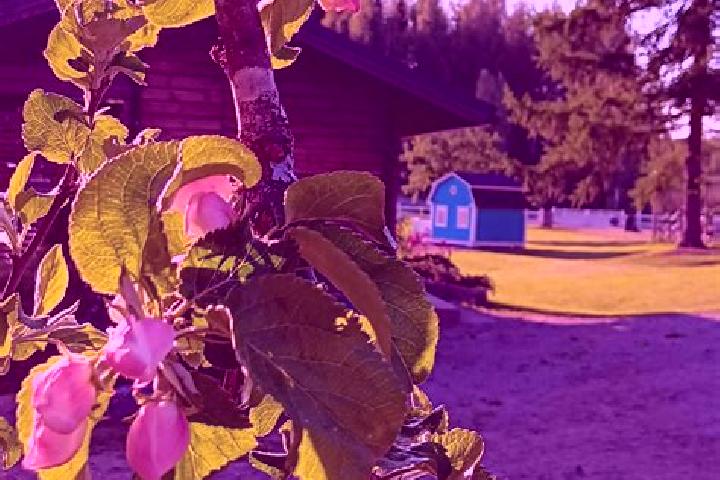 Luna, 27 — Escort in Kiikoinen, Finland