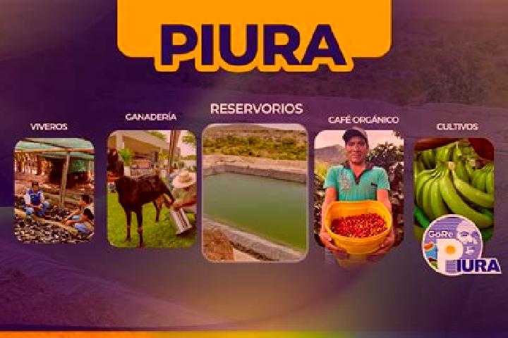 Luna, 28 — Escort in San Juan de Iris, Peru