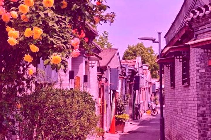 Luna, 28 — Escort in Xiangfeng, China