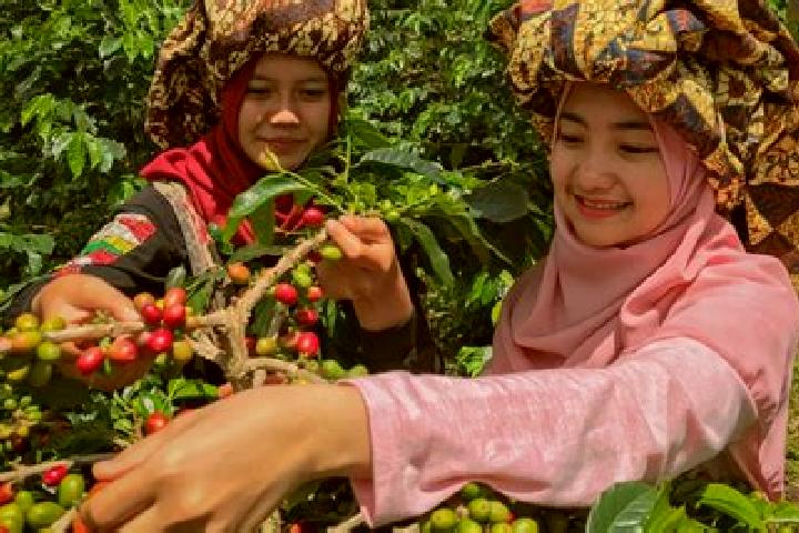 Luna, 29 — Escort in Bean, Indonesia