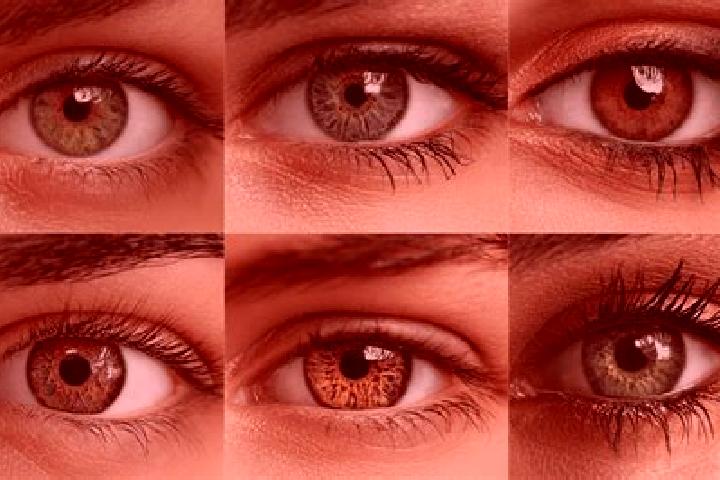 Luna, 30, a red hazel-eyed middle eastern companion based in Canada. Offering Travel Companion, OWO, A-Level. Available for incall and outcall, overnight boo...
