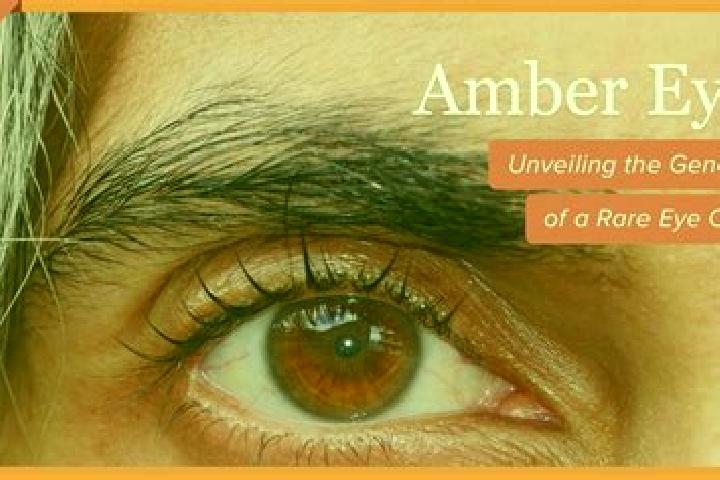 Luna, 31, a red amber-eyed caucasian companion based in Princeville. Offering 69, GFE, Domination, Massage. Available for incall and outcall, day and evening...