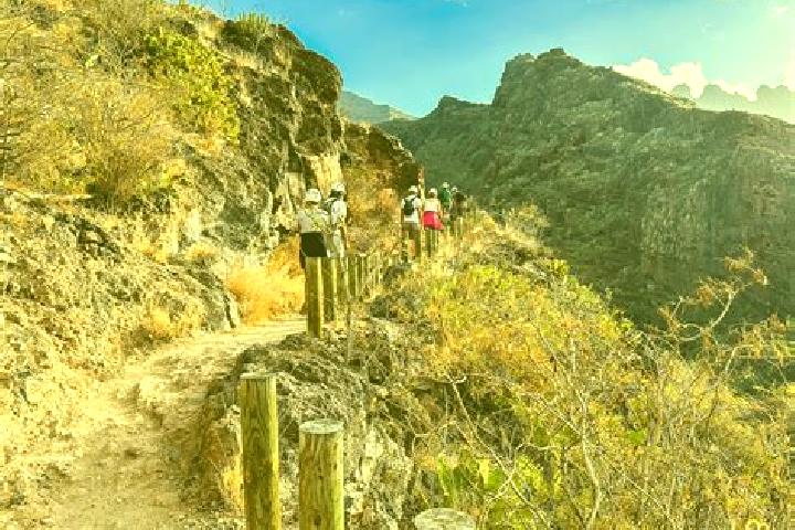 Luna, 33 — Escort in El Barranco Azul, Mexico