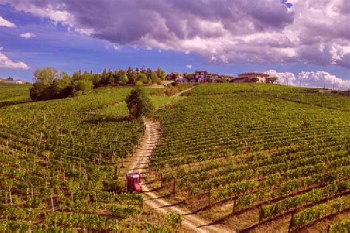 Luna, 33 — Escort in Langhe, China