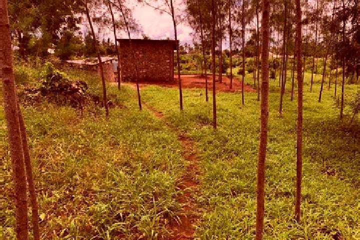 Luna, 33 — Escort in Londiani, Kenya