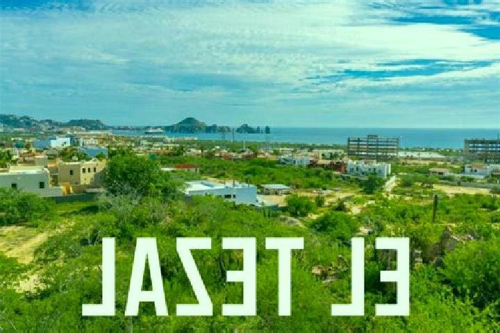 Luna, 34 — Escort in El Tezal, Mexico