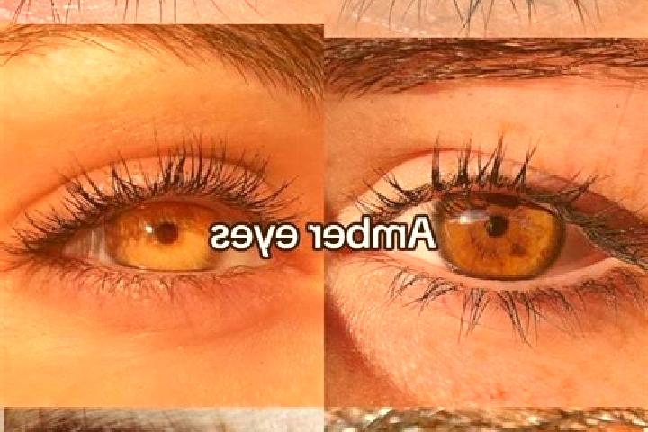 Luna, 35, a chestnut amber-eyed european companion based in San Pedro Naranjestil. Offering Massage, Travel Companion, Tantra. Available for incall and outca...