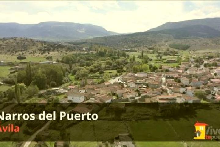 Luna, 36 — Escort in Narros del Puerto, Spain