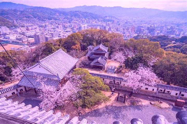 Luna, 37 — Escort in Matsuyama, Japan