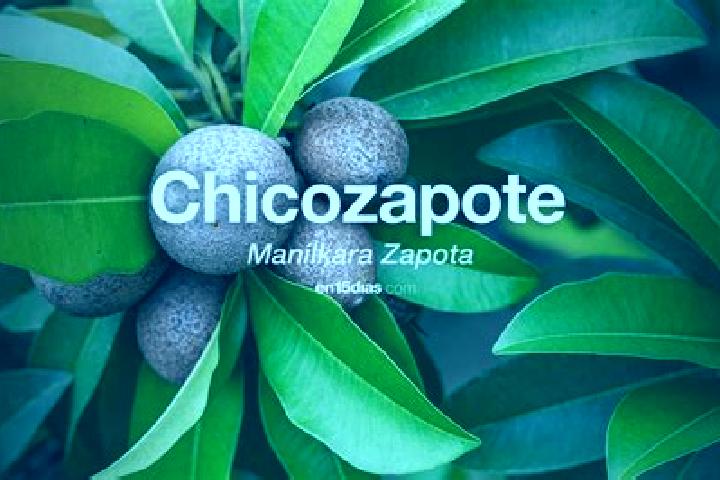 Luna, 37 — Escort in Zapotitlan de la Fuente (El Zapote), Mexico