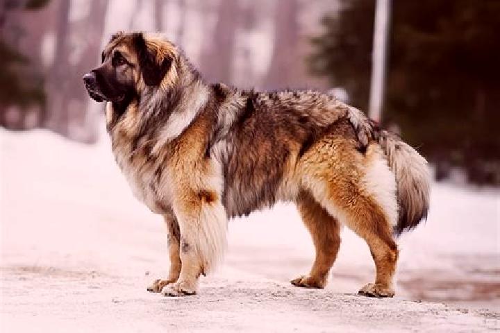 Luna, 38, a black brown-eyed caucasian companion based in Zhizhitsa. Offering Massage, Overnight, Roleplay, Party Girl, 69. Available for incall and outcall,...