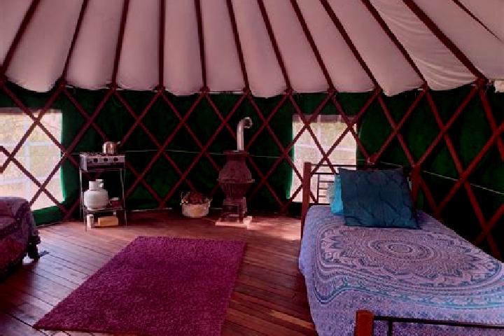 Luna, 38 — Escort in Shaami-Yurt, Russia