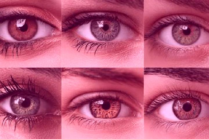 Madison, 21, a red hazel-eyed caucasian companion based in Novo Oriente. Offering Roleplay, OWO. Available for incall and outcall, day and evening dates.