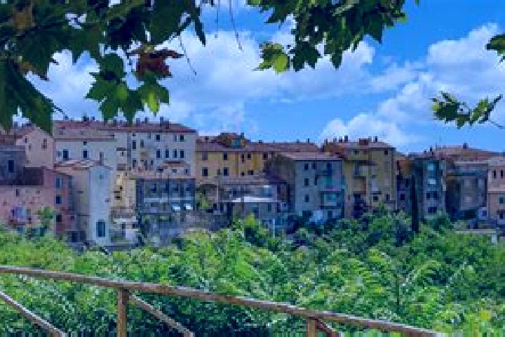 Madison, 21 — Escort in Castagneto Carducci, Italy