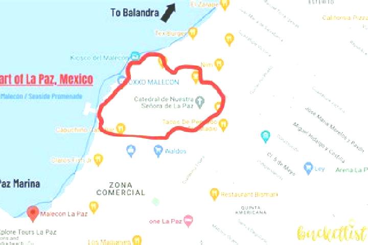 Madison, 21 — Escort in El Zacatal, Mexico