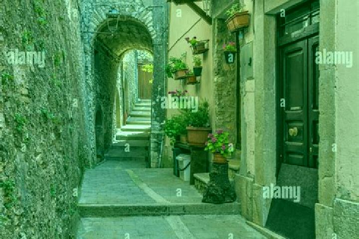 Madison, 23 — Escort in Percile, Italy