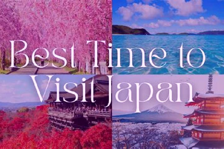 Madison, 23 — Escort in Tondabayashicho, Japan