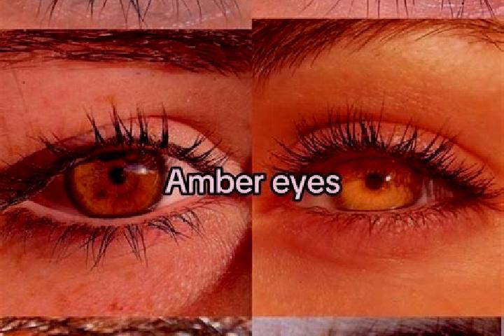 Madison, 24, a brunette amber-eyed middle eastern companion based in Zelenogorskoye. Offering Travel Companion, Tantra, Deep French Kissing, Party Girl. Avai...