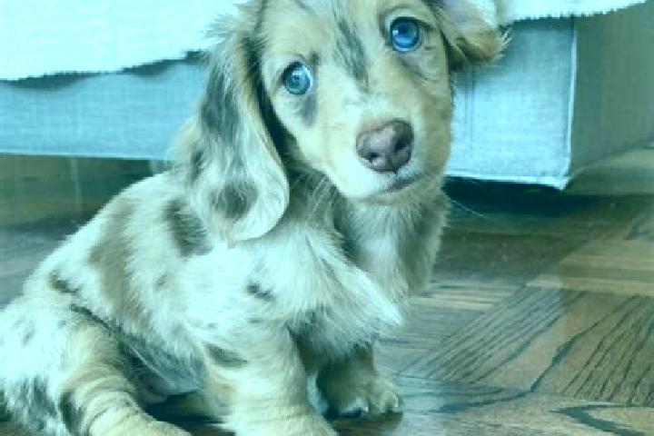 Madison, 24, a chestnut blue-eyed mixed companion based in Okombahe. Offering OWO, Overnight, CIM. Available for incall and outcall, overnight bookings avail...