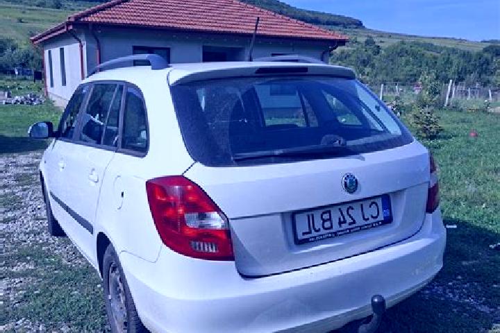 Madison, 24 — Escort in Jichisu de Jos, Romania