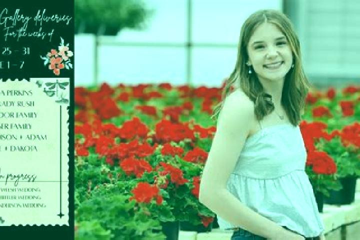 Madison, 24 — Escort in Kraemer, United States