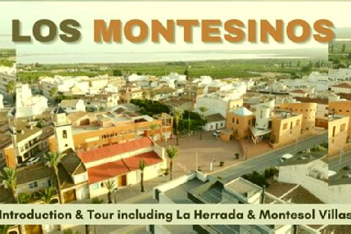 Madison, 24 — Escort in Los Montesinos, Spain