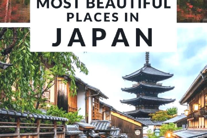 Madison, 24 — Escort in Nihammatsu, Japan