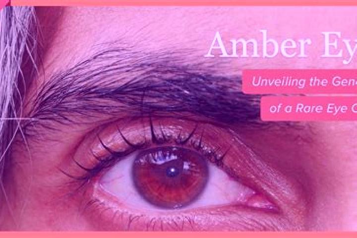 Madison, 25, a black amber-eyed mixed companion based in Barranca de Otates (Barranca de Otatan). Offering Deep French Kissing, BDSM, Massage. Available for ...