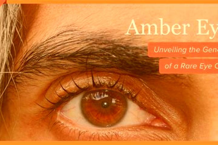 Madison, 25, a black amber-eyed mixed companion based in Umbultanjung. Offering Deep French Kissing, Roleplay, Tantra, CIM. Available for incall and outcall,...