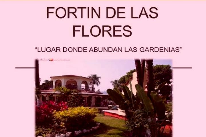 Madison, 25 — Escort in Fortin de las Flores, Mexico