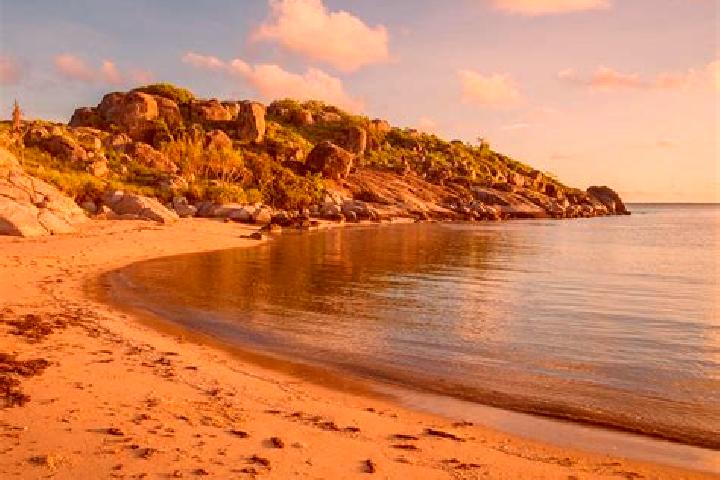 Madison, 25 — Escort in Yirrkala, Australia