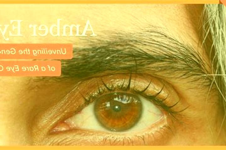 Madison, 26, a black amber-eyed slavic companion based in Wonojati. Offering 69, BDSM, Prostate Massage, Party Girl, Travel Companion. Available for incall a...