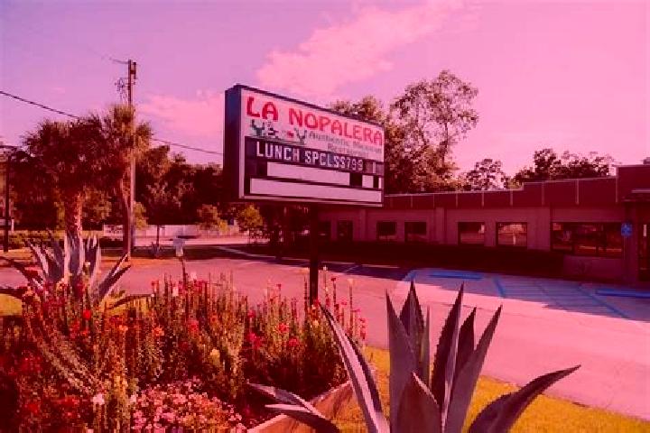 Madison, 27 — Escort in Tercera Seccion la Nopalera, Mexico