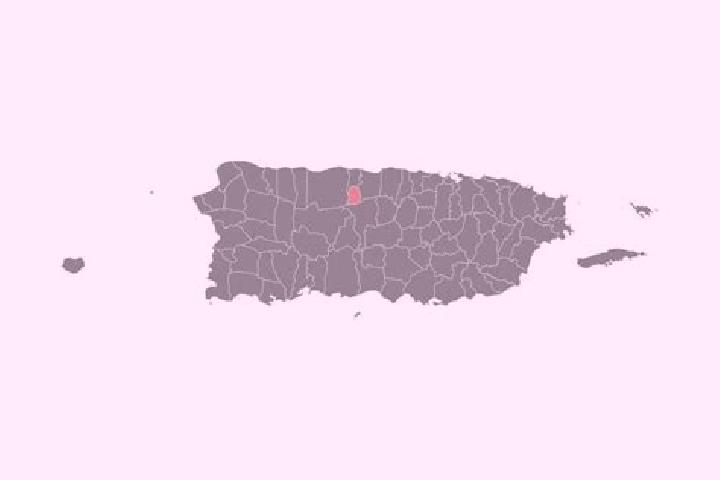 Madison, 28 — Escort in Estancias de Florida, Puerto Rico