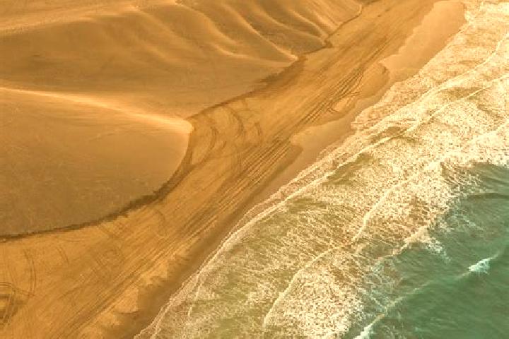 Madison, 28 — Escort in Playa de Chachalacas, Mexico