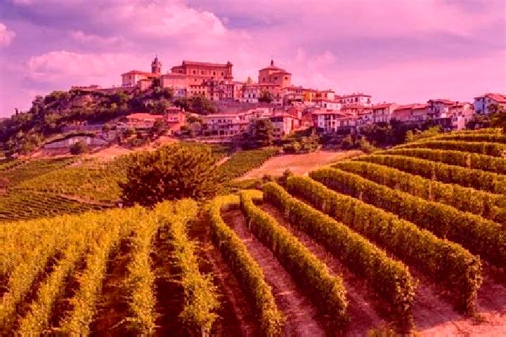 Madison, 28 — Escort in Serravalle Langhe, Italy