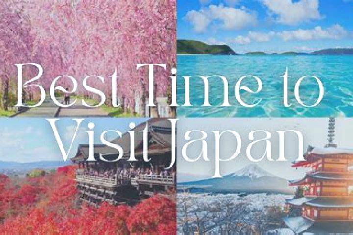 Madison, 28 — Escort in Tome, Japan