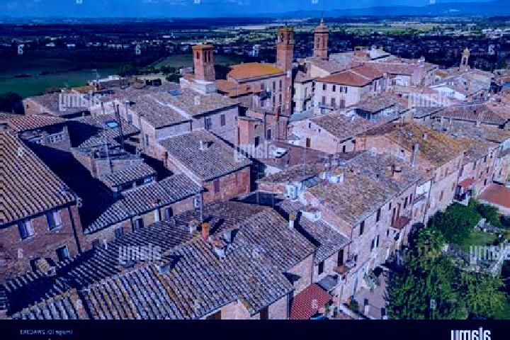 Madison, 28 — Escort in Torrita di Siena, Italy