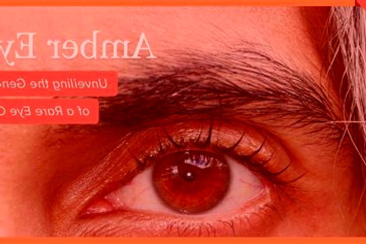 Madison, 29, a red amber-eyed european companion based in Trim. Offering Tantra, Duos, Travel Companion. Available for incall and outcall, overnight bookings...